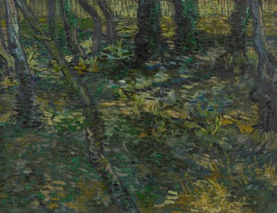 Sotobosque de Vincent van Gogh